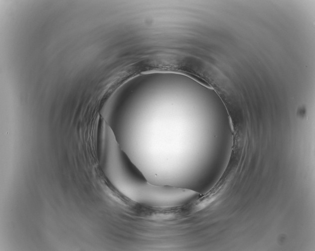 X0000094200141200711021101