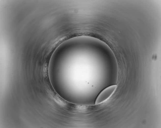 X0000094200144200711021101