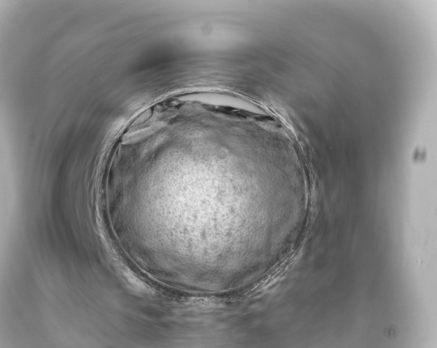 X0000094200145200711021100