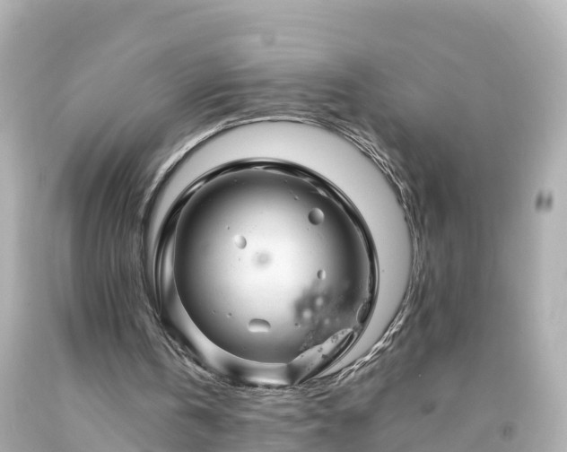 X0000094200146200711021100