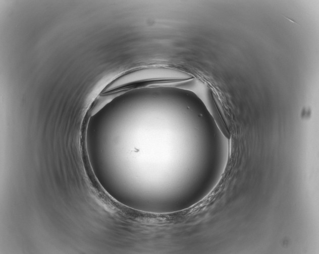 X0000094200147200711021100