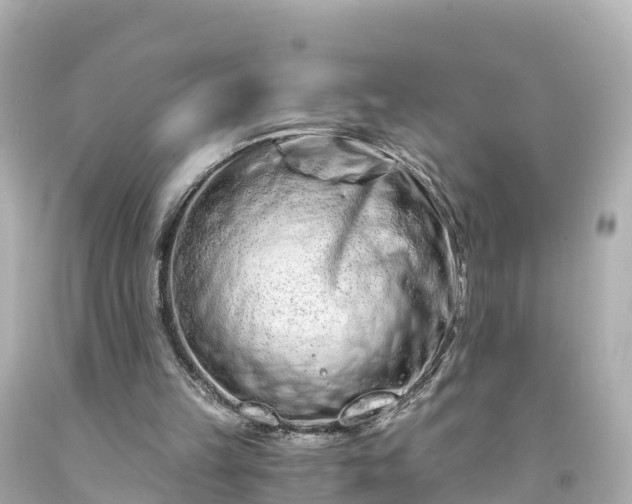 X0000094200149200711021100