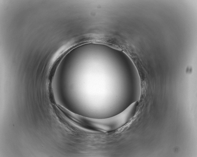 X0000094200150200711021100