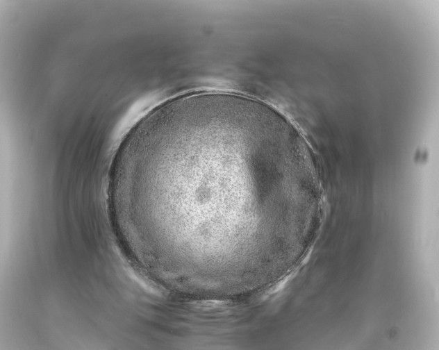 X0000094200151200711021100