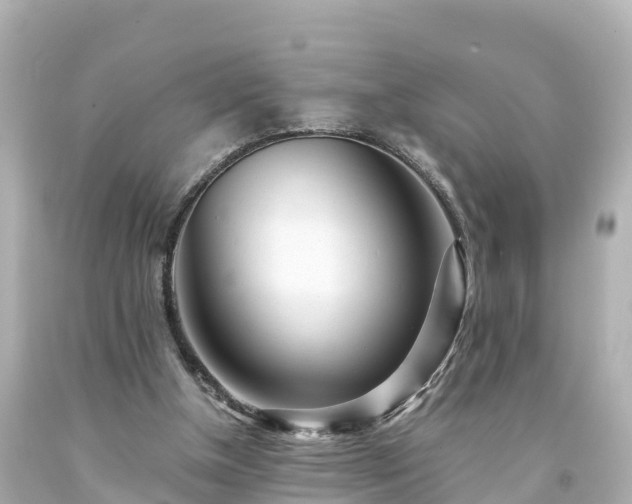 X0000094200154200711021100