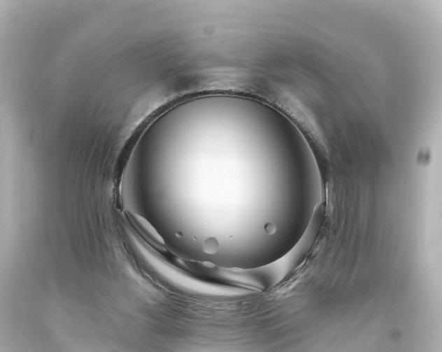 X0000094200156200711021100
