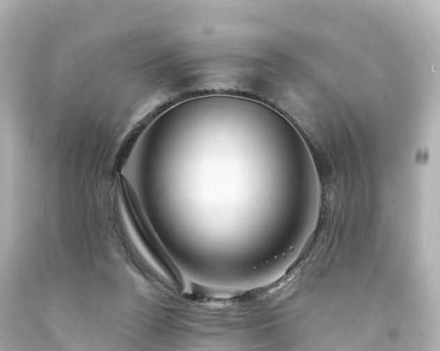 X0000094200160200711021100