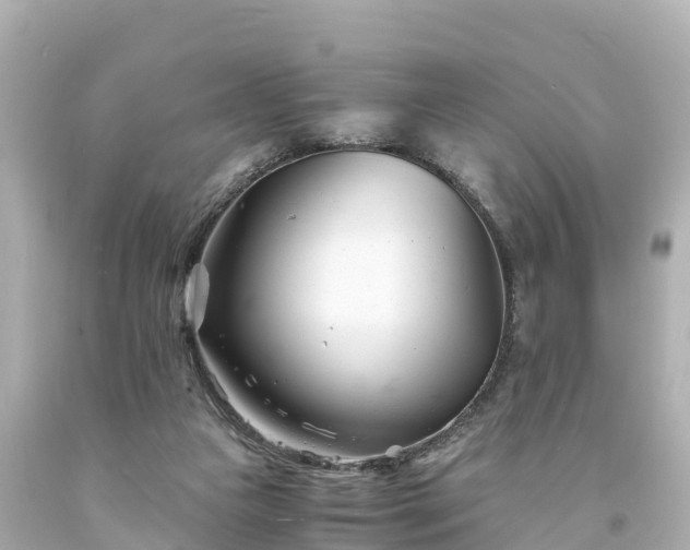 X0000094200161200711021100