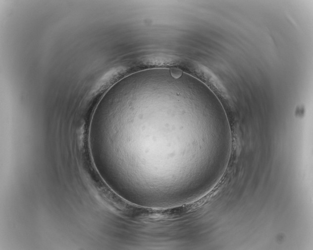 X0000094200163200711021100