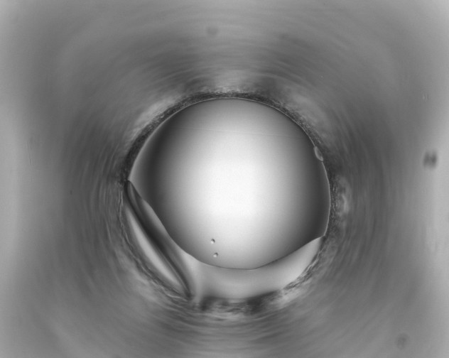 X0000094200164200711021100