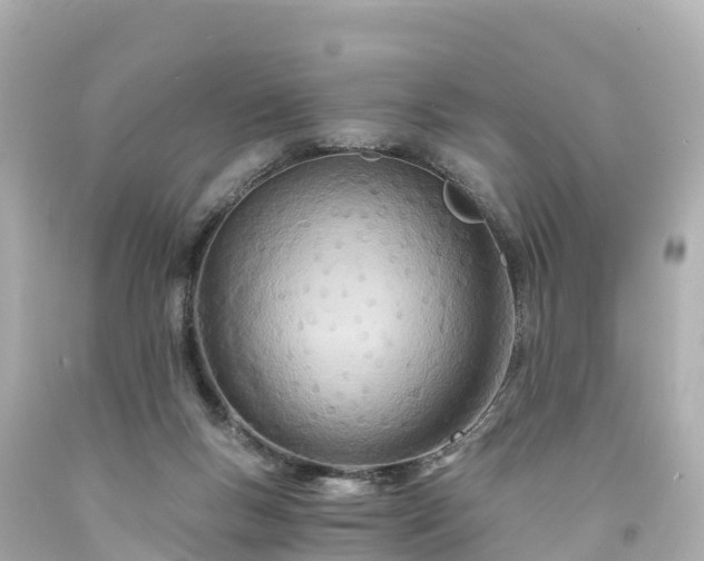 X0000094200167200711021100