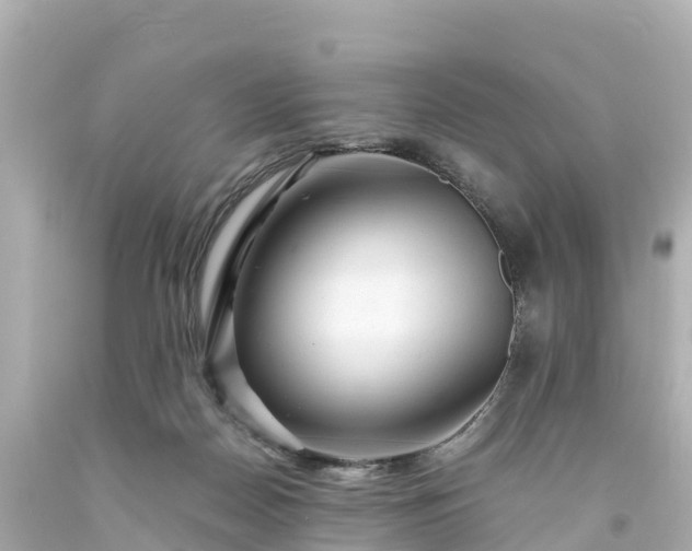 X0000094200170200711021101