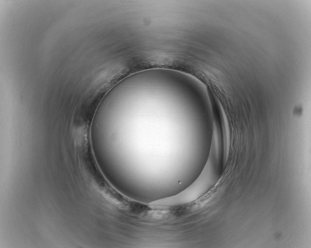 X0000094200172200711021101