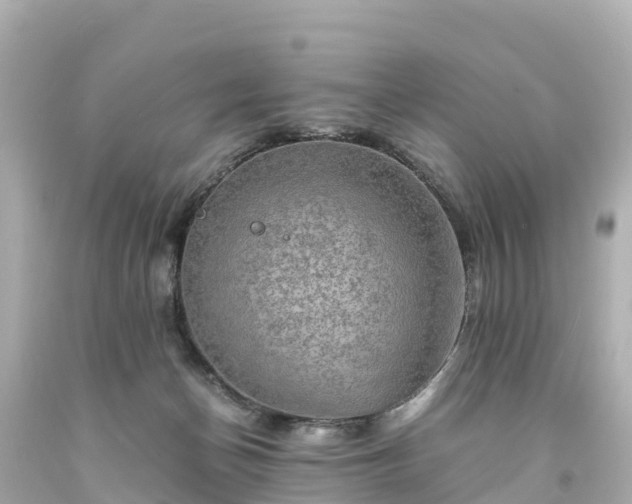 X0000094200174200711021101