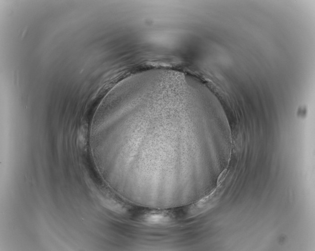 X0000094200175200711021101