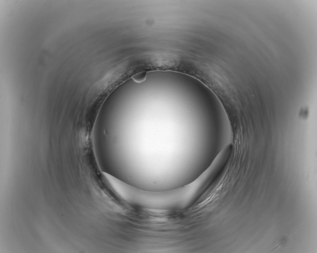 X0000094200176200711021101