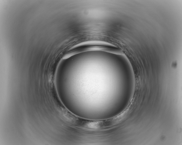 X0000094200178200711021101