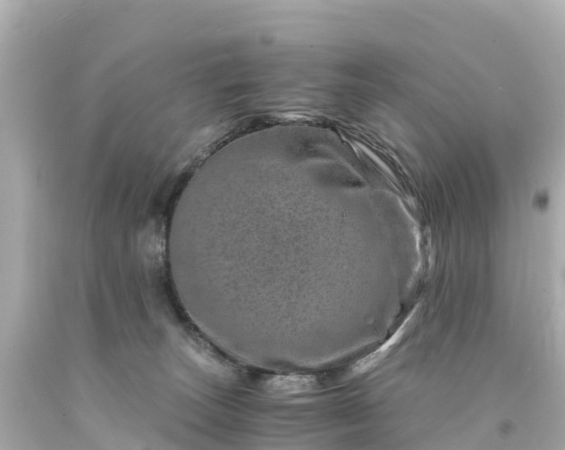 X0000094200179200711021101