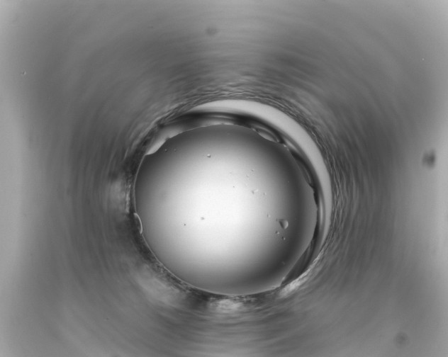 X0000094200180200711021101