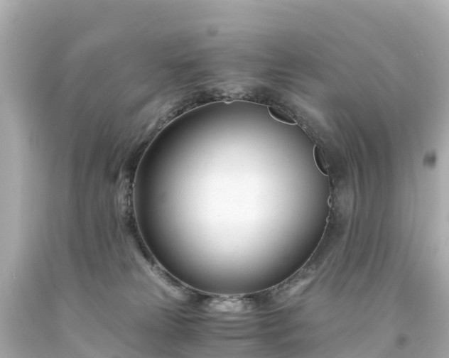 X0000094200181200711021101