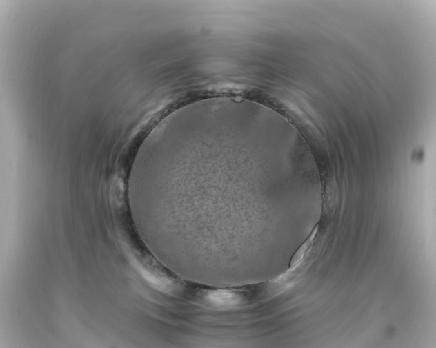 X0000094200183200711021101