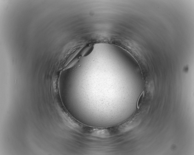 X0000094200185200711021101