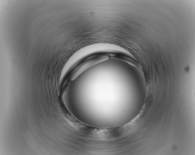 X0000094200186200711021101