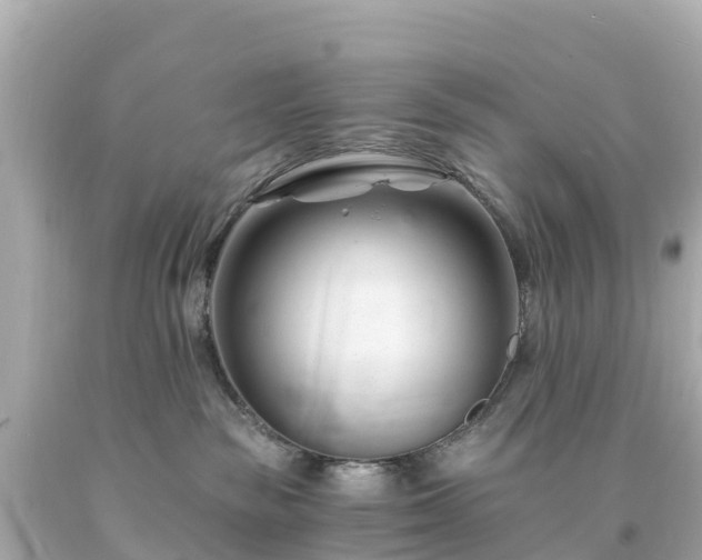 X0000094200189200711021101