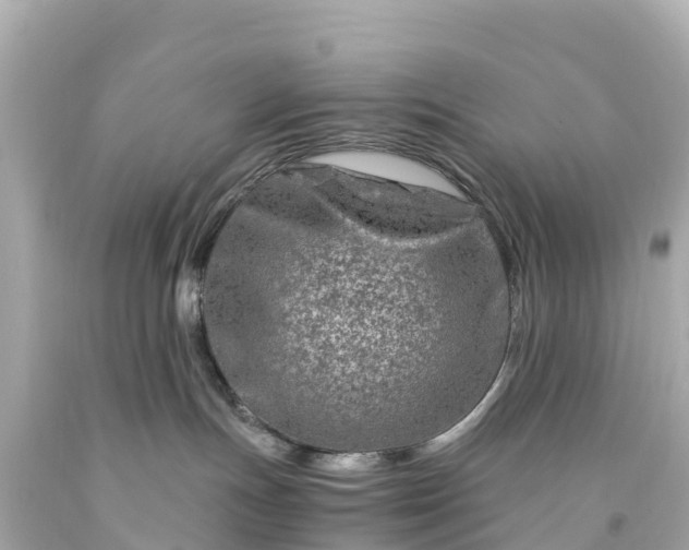 X0000094200191200711021101