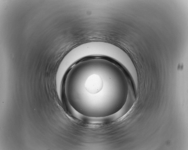 X0000094200192200711021101