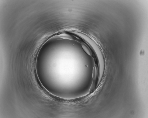 X0000094200193200711021100