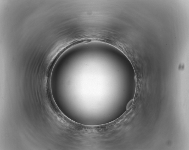 X0000094200194200711021100