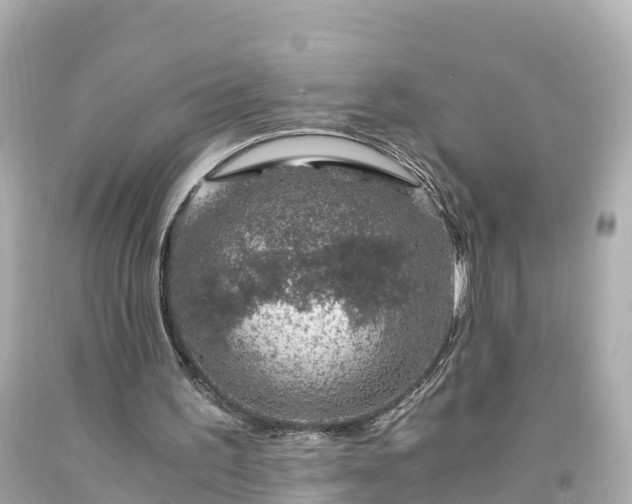 X0000094200195200711021100