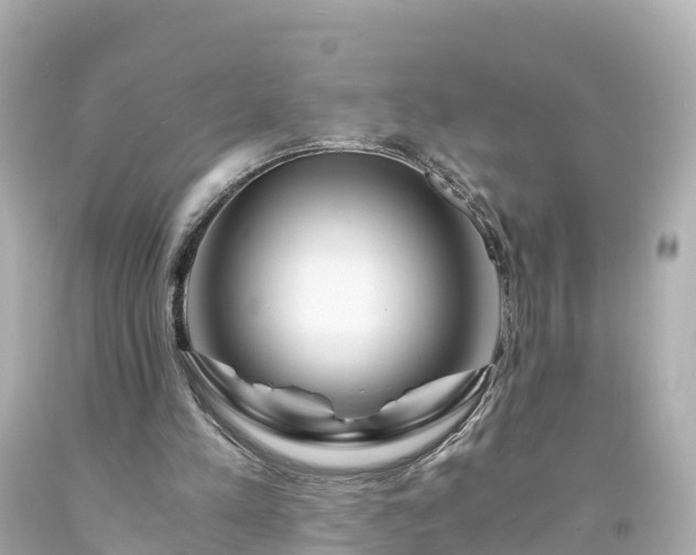 X0000094200197200711021100