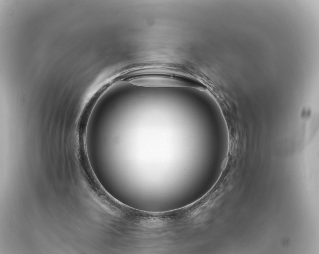 X0000094200198200711021100