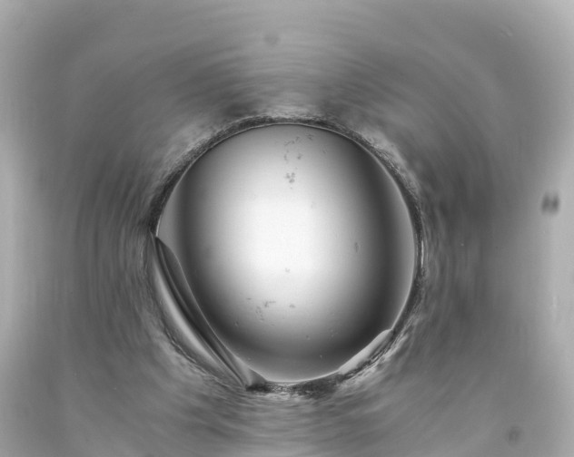 X0000094200201200711021100