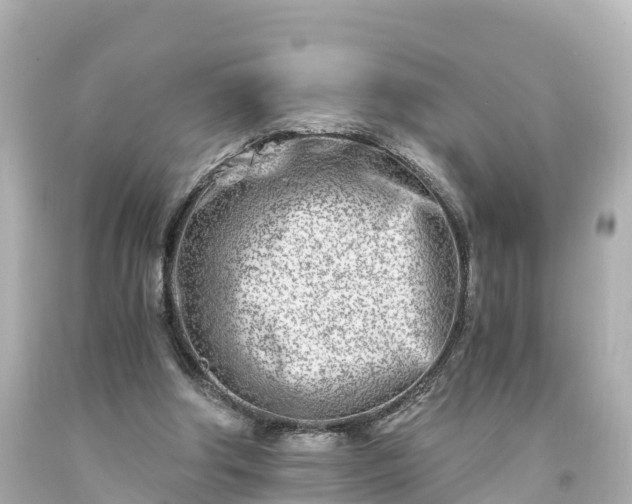 X0000094200202200711021100