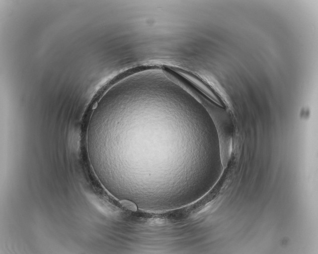 X0000094200204200711021100