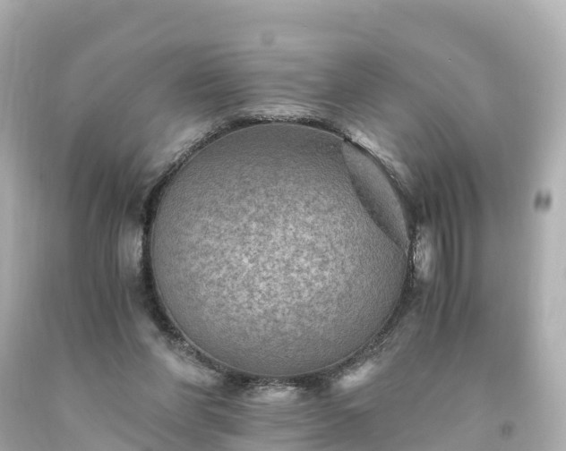 X0000094200206200711021100
