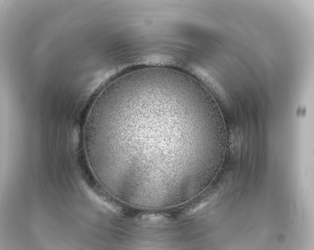 X0000094200208200711021100