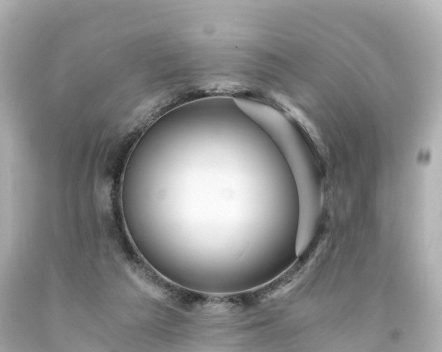 X0000094200209200711021100