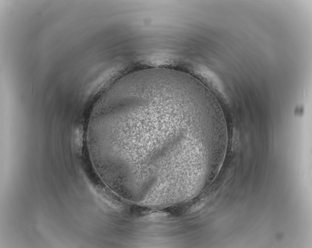 X0000094200210200711021100