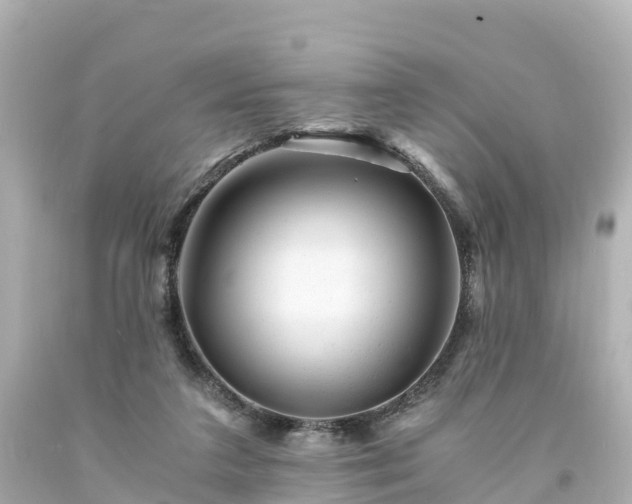 X0000094200211200711021100