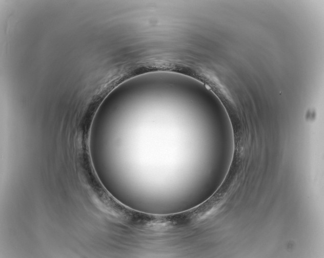 X0000094200213200711021100
