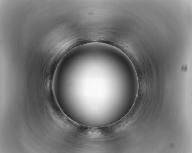 X0000094200214200711021100