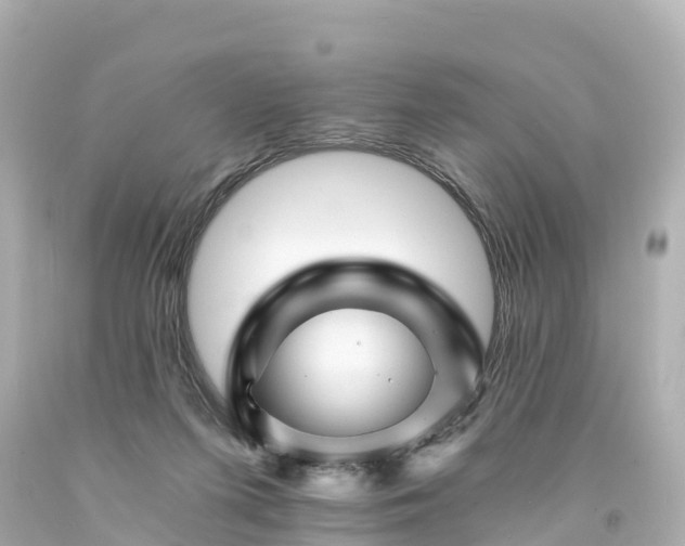 X0000094200215200711021100