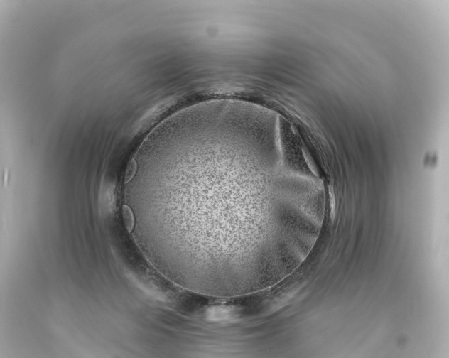 X0000094200216200711021100