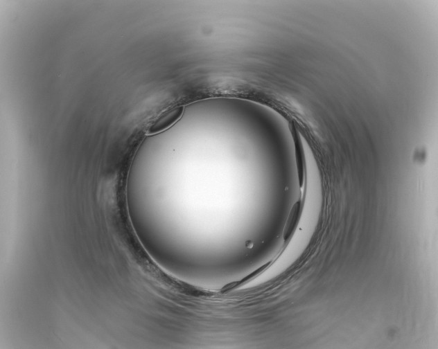 X0000094200217200711021100