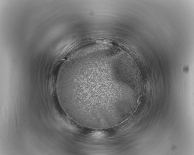 X0000094200218200711021100