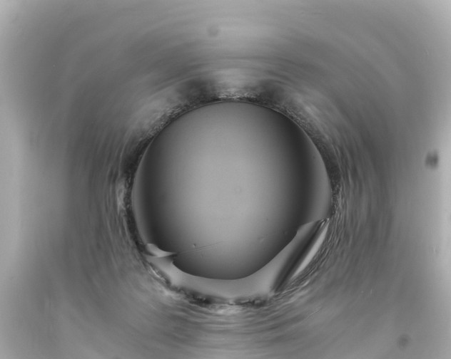 X0000094200219200711021100